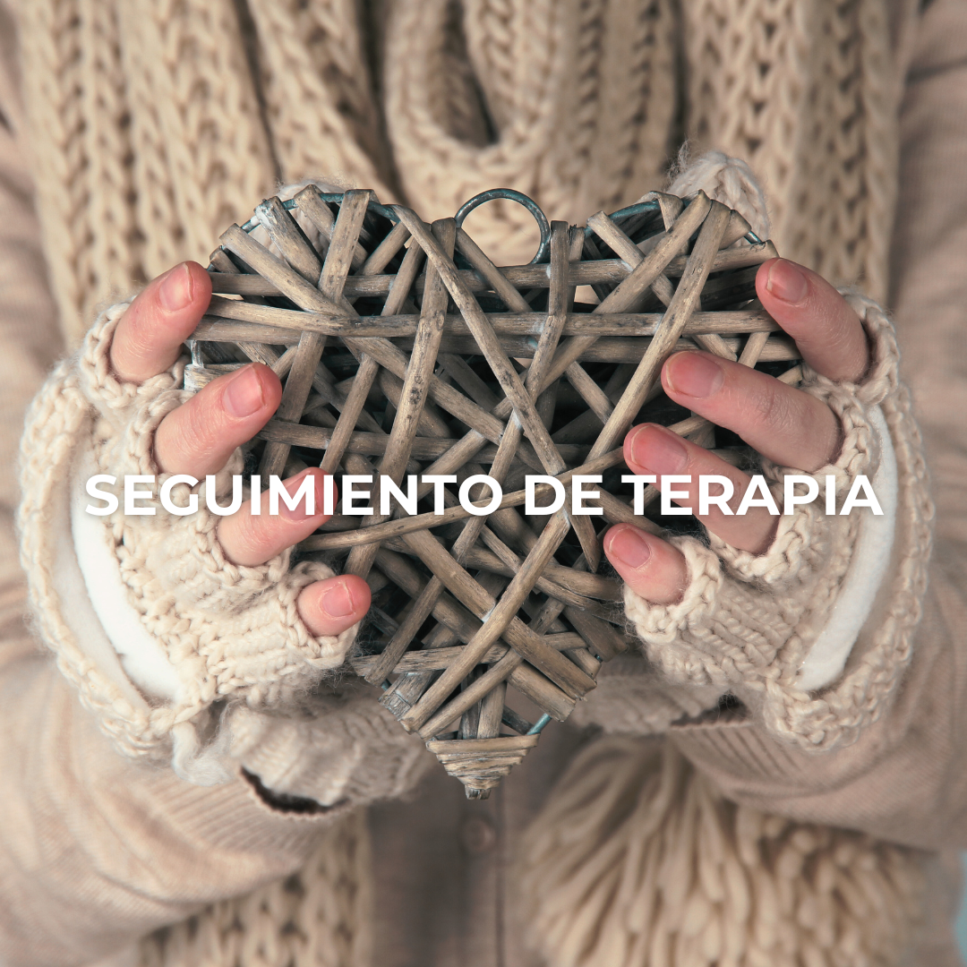 Seguimiento de Terapia